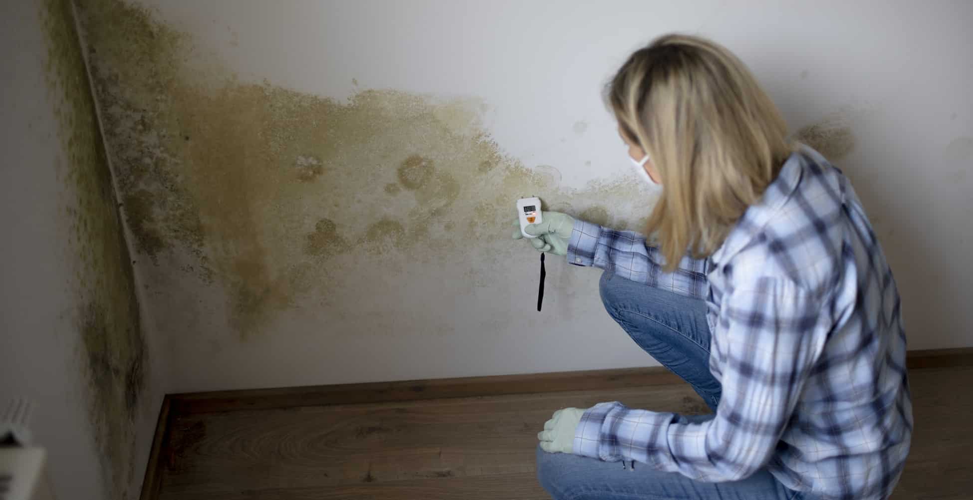 Traiter la condensation dans toute la maison - LABO AAI